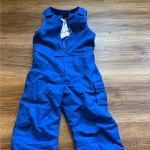 The Northface Snowpants